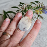 Ring - Oval Size US 7 Cream